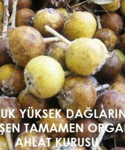 Dağ Armudu Ahlat Kurusu