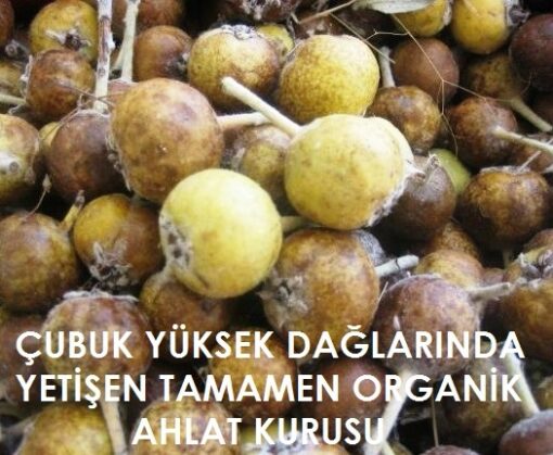 Dağ Armudu Ahlat Kurusu
