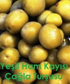 Ham Yeşil Kayısı Çağla Turşusu
