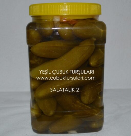 Çubuk Salatalık Turşusu 2 Numara (5 lt) - Görsel 2