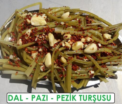 Pezik Pazı Dal Turşusu